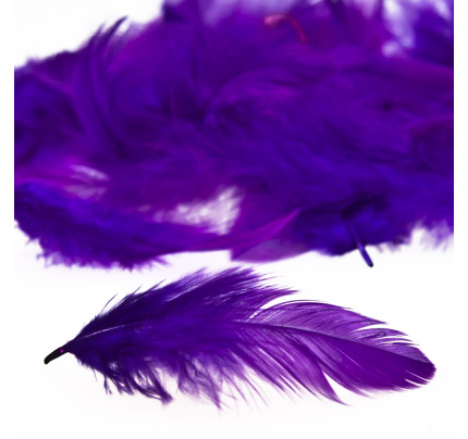 Peříčka - fialová (10 g)